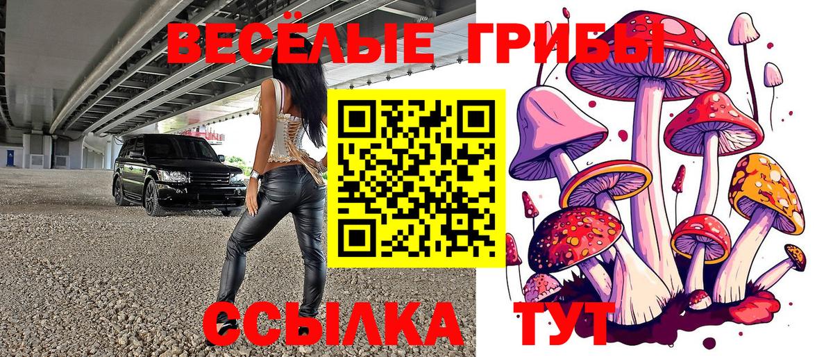 Псилоцибиновые грибы Psilocybe  Вход с VPN  Чапаевск 