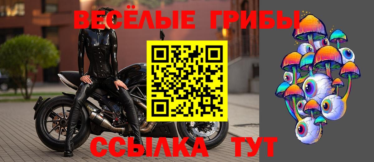 Псилоцибиновые грибы мицелий Чапаевск
